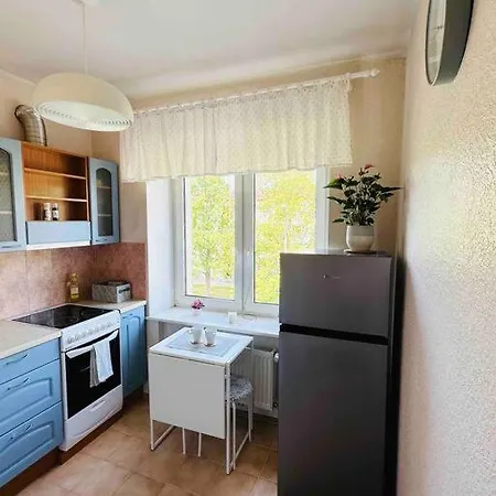 Cozy In The Center Of Apartment